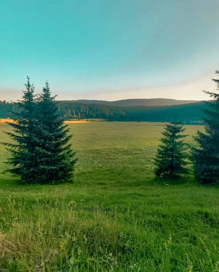 Alpin Apartments Vlašić جنة الجبل المظهر الخارجي الصورة